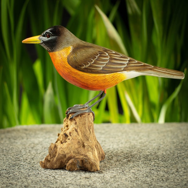 Hand Carved & Painted American Robin