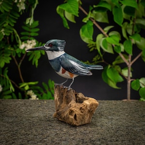 Hand Carved, Hand Painted Wooden Bird Sculpture of a Belted Kingfisher