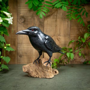 Peut inclure: Une figurine de corbeau noir avec des textures de plumes détaillées et un bec pointu, perchée sur un morceau de bois naturel brun clair. L'oiseau a un petit œil rouge et est positionné de profil, mettant en valeur son plumage sombre.