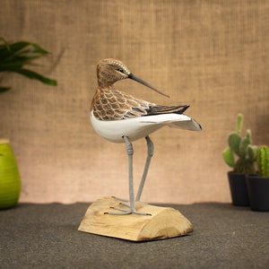 Hand Carved, Hand Painted Wooden Bird Sculpture of a Dunlin image 4