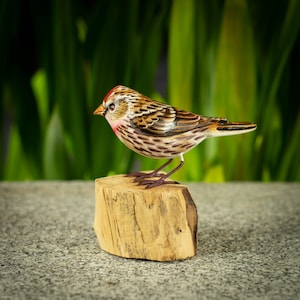 Handgeschnitzte, handbemalte Hölzerne Vogelskulptur eines Birkhühners