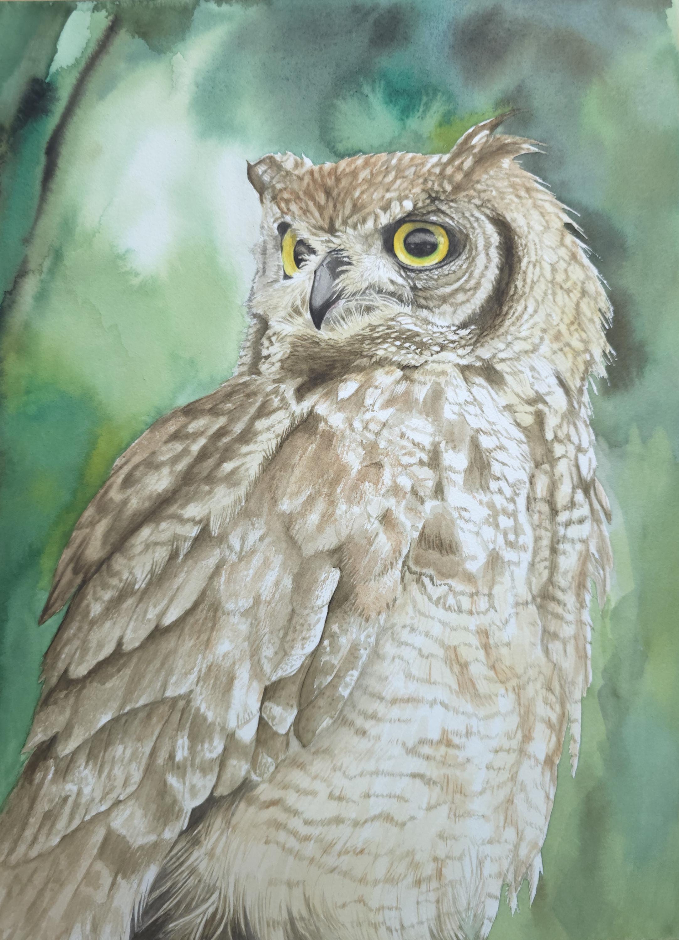 Original Hand-Painted Watercolor Artwork,Owl Art
