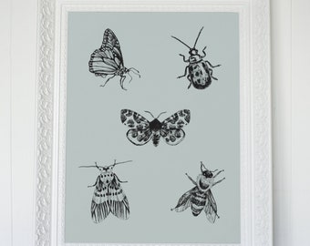 Bug, Insect Art, Art imprimable, art numérique, moderne, vert, gris, papillon, abeille, coléoptère, papillon de nuit, croquis, dessin au trait, estampes