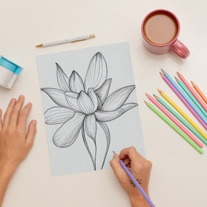 Roses and Lillies Coloring Pages, Flowers, Printable Coloring Pages ...