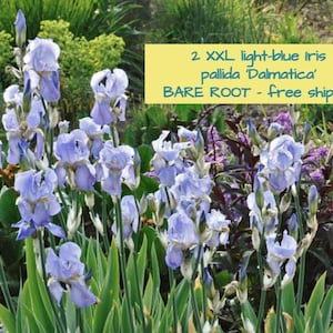 May include: A set of three ceramic mugs with a speckled, cream-colored glaze. Each mug features a different hand-painted floral design in shades of blue, green, and yellow. The mugs have a simple, rounded shape and a comfortable handle.