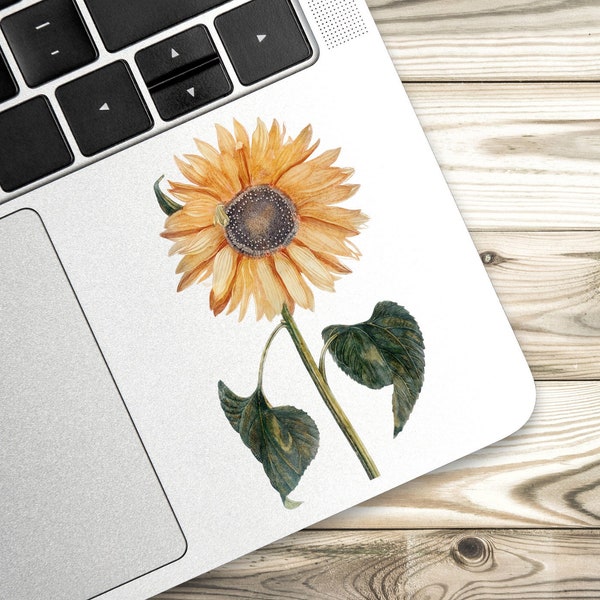 Vintage Painting Sunflower Sticker, 1600's Art Flower Print, Garden Sticker, Floral Art Sticker, Plant Lover, Laptop Phonecase Waterbottle