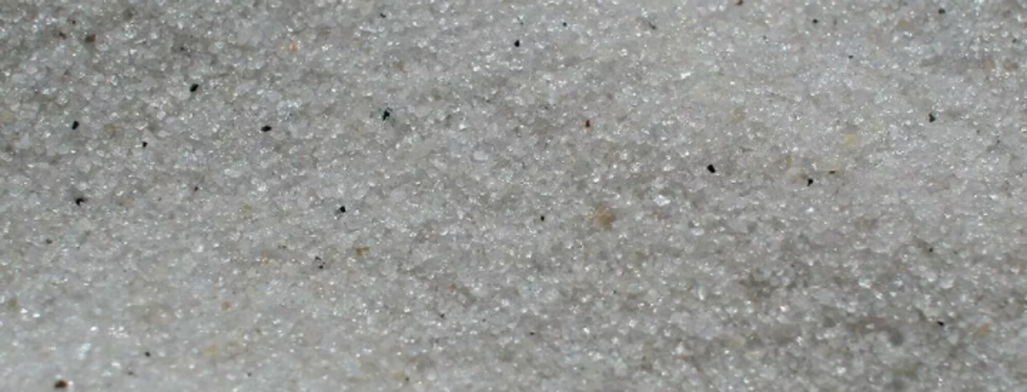 5lbs Clearwater Florida Beach Sand Fine White Quartz Crystal - Etsy