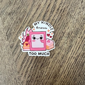 Spicy Book Stickers, Book Lover Sticker, Book Lover Gift, Smut Stickers, Smut Reader, Spicy Book Lovers