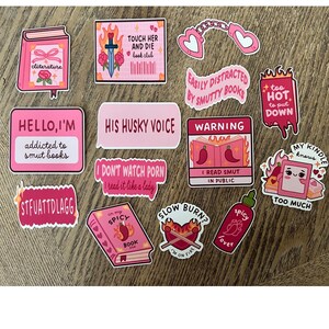 Spicy Book Lovers Sticker Bundle, Book Lover Stickers, Book Lover Gift, Smut Stickers, Smut Reader, Spicy Book Lovers