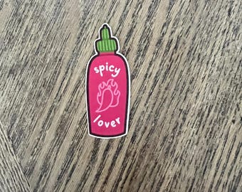 Spicy Book Stickers, Book Lover Sticker, Book Lover Gift, Smut Stickers, Smut Reader, Spicy Book Lovers