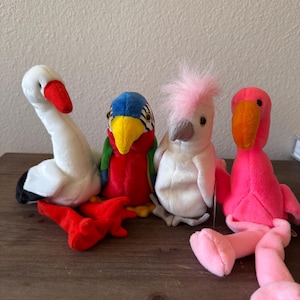 Bird Ty Beanie Baby lot of 4- Stilts, Kuku, Jabber, Pinky - Retired - FREE Cards!