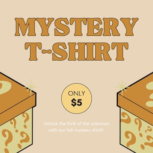 Mystery shirt, adult mystery t-shirt, themed mystery shirt