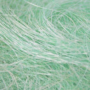 May include: A close-up of a bundle of light green and white sisal fibers. The fibers are long and thin, and they are tangled together in a random pattern.