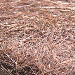 Sisal Fiber Pack brown Natural Sisal Fibers 25g/0.88oz /19×13×5cm/7.5×5.1×2inches | Craft Supplies | Eco-Friendly Fibers 14