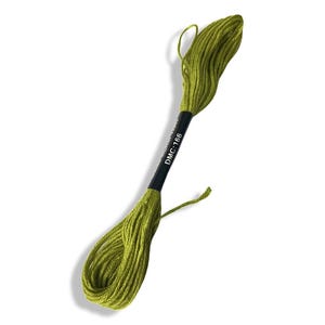DMC Embroidery Floss | Cross Stitch Thread | 8m Skein | Art 166 | Needlework Floss | Craft Supplies | DMC Mouline Cotton