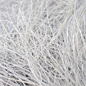 Pode incluir: Material de fibra natural branco, que se assemelha a um feixe de grama branca longa e fina. As fibras estão emaranhadas e entrelaçadas, criando uma aparência texturizada e fofa.
