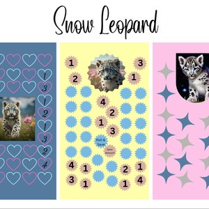 Snow Leopard Savings Challenge
