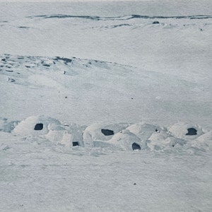 Op de afbeelding: Een groep sneeuw-iglo's, of sneeuw-schuilplaatsen, zijn geclusterd in een besneeuwd landschap. De iglo's zijn gemaakt van gepakt sneeuw en hebben kleine, donkere openingen voor ingangen.