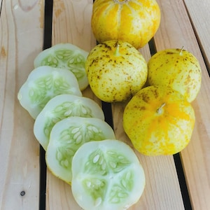 Cucumber Seeds-Lemon