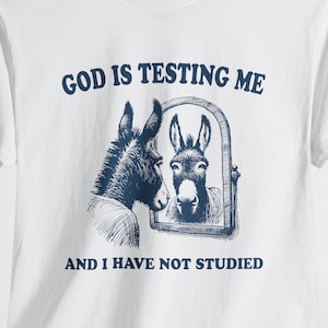 God is Testing Me and I Have Not Studied Funny Donkey Unisex Heavy Cotton Tee