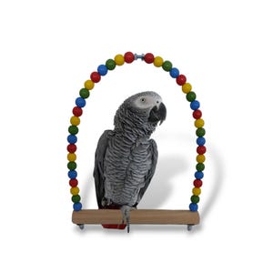 Swing for bird - Swing for parrot - Toys for birds - Toys for parrot
