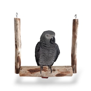 Swing for birds - natural wood - parrot swing - bird swing - Toys for birds - parrot toys