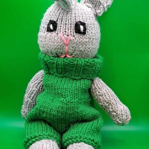 Personalized Bunny Rabbit Stuffed Animal Cute Plushie With Jumper Clothes and Carrot