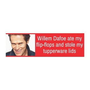Imán para coche con meme divertido de Willem Dafoe: "Se comió mis chanclas y me robó las tapas de mis tupperware".