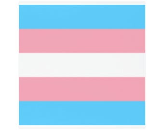 Transgender Trans Pride Flag LGBTQ+ Car Magnet Bumper Sticker