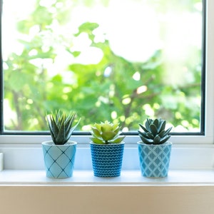May include: Three small potted succulents sit on a white windowsill in front of a window with a blurred green background. The pots are light blue with different geometric patterns. The succulents are green and have varying textures.