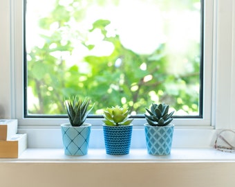 Stickers for plant pots | IKEA Fejka succulents plants | IKEA hack | Plant pot decal