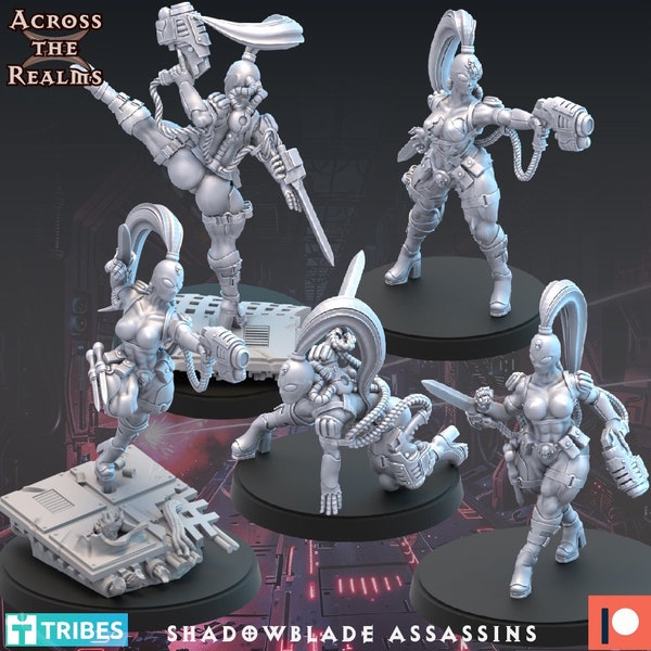 Shadowblade Assassin Set of 5 Legion of Excess  32mm by Across the Realms Pin Up