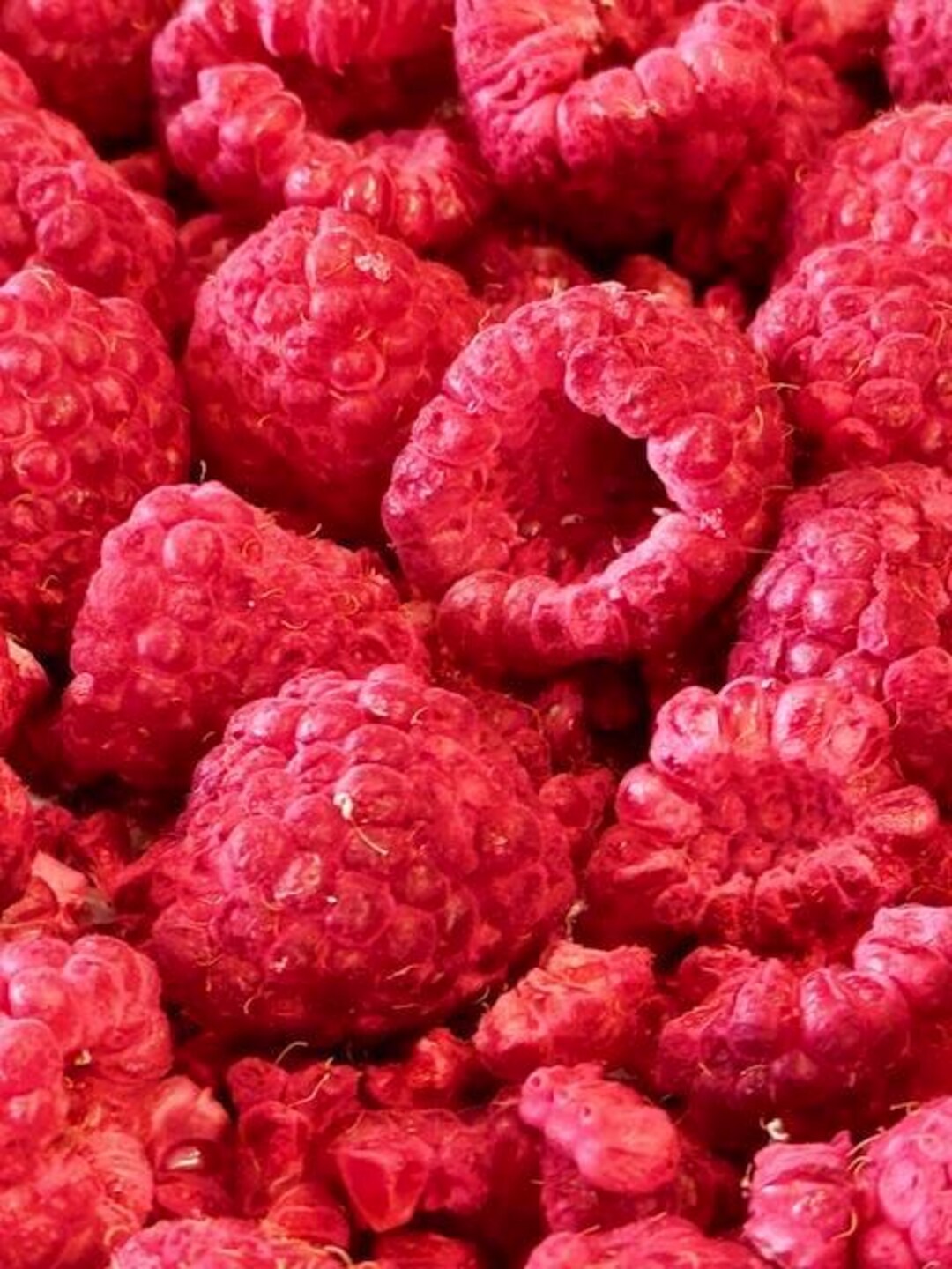 Freeze Dried Raspberries -large - Etsy