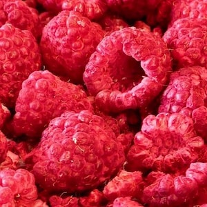 Pode incluir: Uma imagem de close-up de um grande monte de framboesas liofilizadas. As framboesas são de cor vermelho escuro e têm uma textura ligeiramente enrugada.