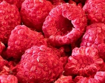 May include: A close-up image of a large pile of freeze-dried raspberries. The raspberries are a deep red color and have a slightly wrinkled texture.