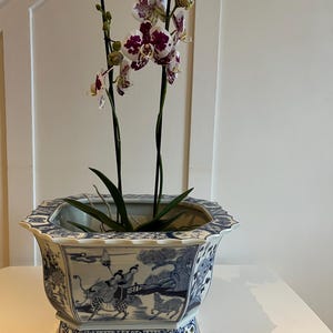 Puede incluir: Una planta de orquídea blanca y morada en una maceta de porcelana azul y blanca con un diseño decorativo. La maceta tiene un borde festoneado y una base con detalles calados.