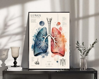 Może przedstawiać: Pionowy wydruk ścienny zatytułowany LUNGS RESPIRATORY SYSTEM, przedstawiający centralną ilustrację anatomiczną ludzkich płuc. Lewe płuco jest niebieskie, a prawe czerwone, oba wykonane w stylu akwarelowym z widocznymi strukturami oskrzeli.