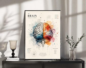 Może przedstawiać: Oprawiony wydruk ścienny zatytułowany The Brain Complexity in Harmony, przedstawiający centralną ilustrację ludzkiego mózgu podzieloną na niebieskie i pomarańczowe sekcje akwarelowe, otoczoną technicznymi diagramami i tekstem.