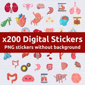 Biology Stickers | Medical Sticker | Cute Medical Stickers | Body Stickers | Medical Stickers | Science Sticker | Science Stickers