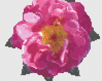Open Pink Rose Cross Stitch Digital Download