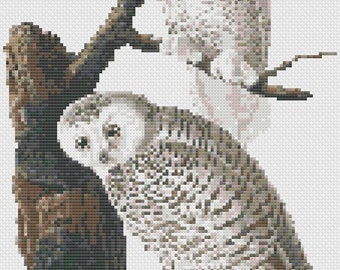 Two Snowy Owls Cross Stitch Digital Download