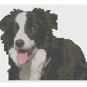 Border Collie Dog Cross Stitch Digital Download