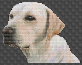 Cane Labrador dorato punto croce download digitale