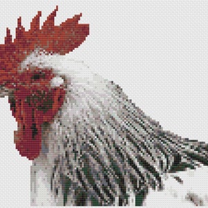 Rooster Cross Stitch Digital Download