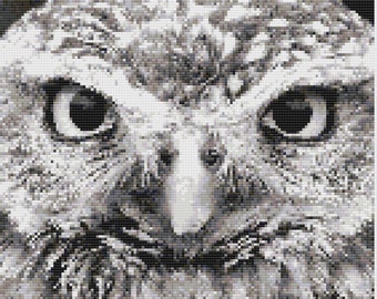 Owl Eyes Cross Stitch Digital Download