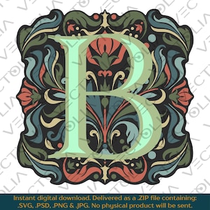 Medieval Illuminated Manuscript Letter B - Hand-Drawn Vector Design - Vintage 80s&#39; Cartoon | A2 - not AI-generated