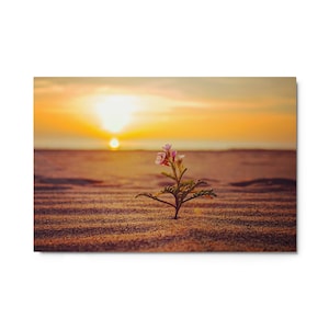 Metal print, Playa del Rey Beach, Los Angeles, California | Fine Art Landscape Photography for Home, Office | Wall Decor