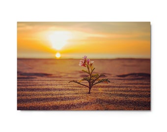 Playa del Rey Beach Metal Print, California Sunset Landscape Photography