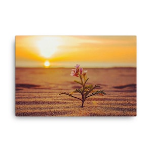 Canvas print, Playa del Rey Beach, Los Angeles, California | Fine Art Landscape Photography for Home, Office | Wall Decor