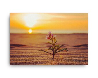 Playa del Rey Beach Canvas Print, Sunset Landscape Photography
